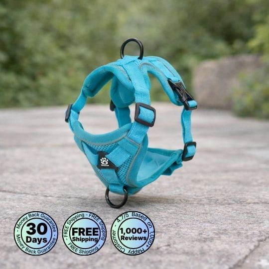 No Pull Dog Harness